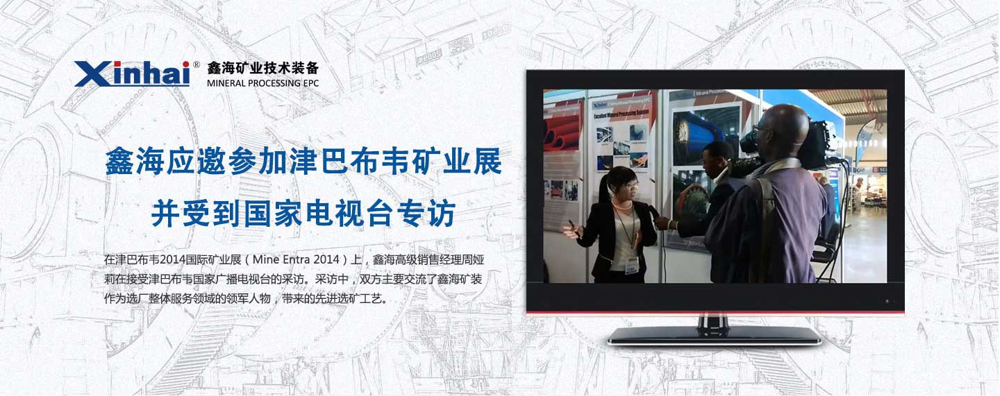 鑫海应邀参加津巴布韦矿业展 并受到国家电视台专访