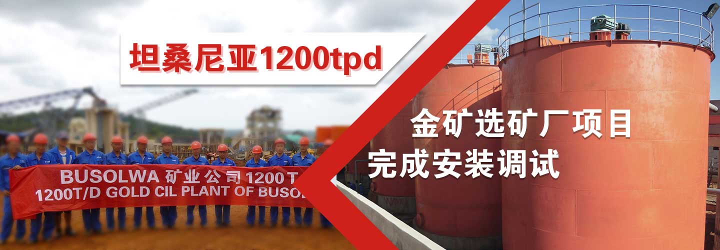 坦桑尼亚1200t/d金矿选矿厂项目