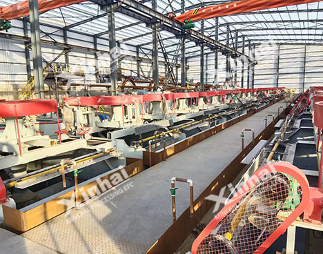 蒙古800tpd萤石浮选选矿项目