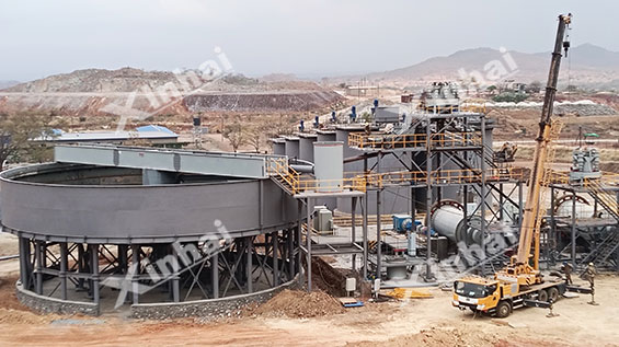 津巴布韦1000t/d金矿选矿项目