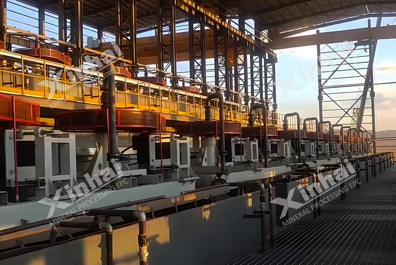 津巴布韦200万t/a锂矿选矿项目