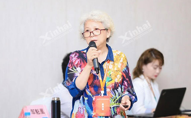 鑫海矿业技术总监邹魁凰女士论坛演讲