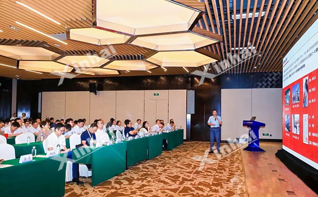 鑫海矿业副总裁王庆民发表演讲