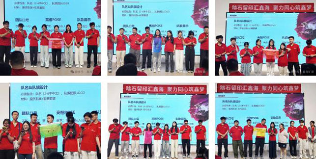 跨语种团队任务