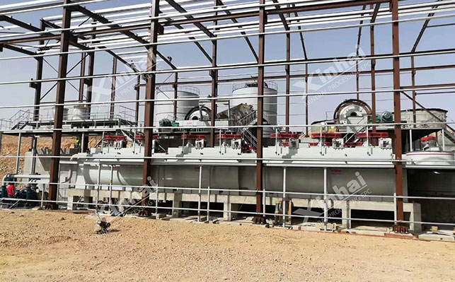 半生银矿浮选技术