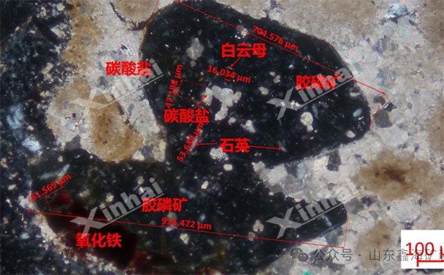 胶磷矿矿石性质