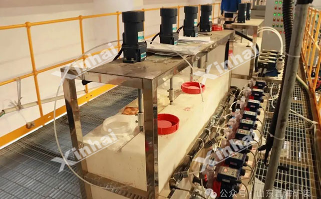 胶磷矿浮选试验药剂配方