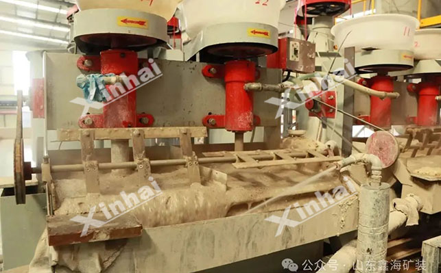 胶磷矿浮选试验