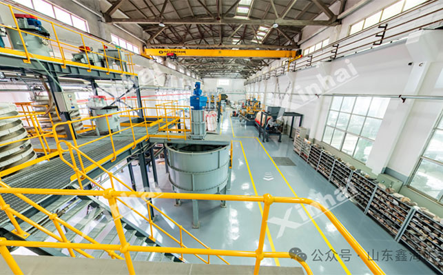 鑫海胶磷矿浮选中试试验