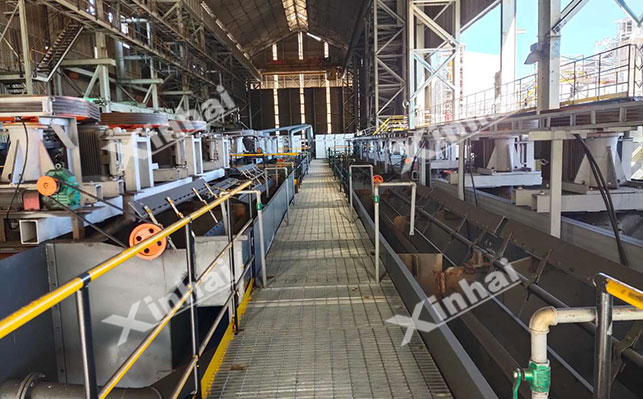 锂云母不脱泥浮选 锂云母不脱泥浮选