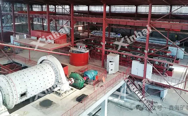 尼日利亚1000t/d铜银矿选厂项目