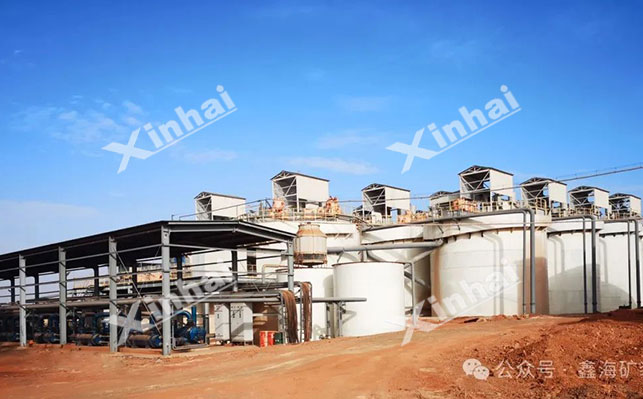 几内亚15000t/d金矿选厂项目
