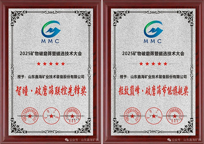 智瞳·破磨筛联控先锋奖