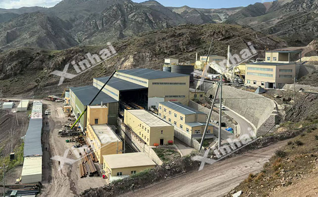 新疆200万t/a金矿改造扩建浮选项目