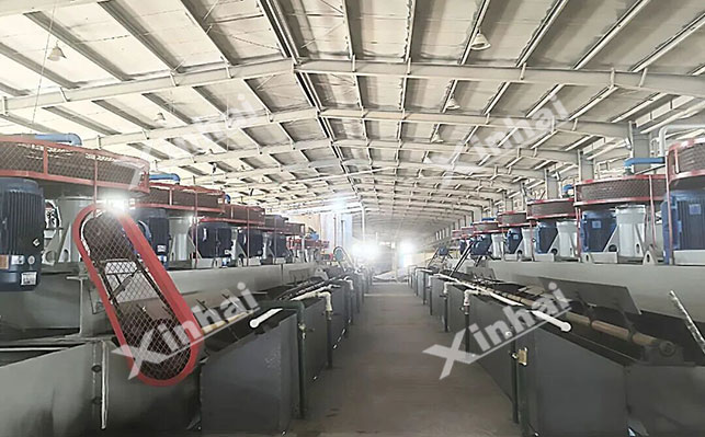 1000吨金矿尾矿浮选再选