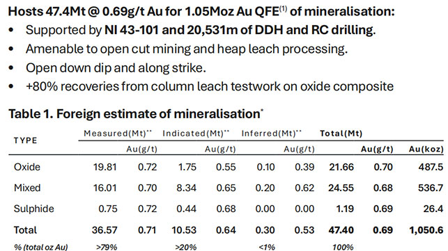 智利潘塔尼罗金矿