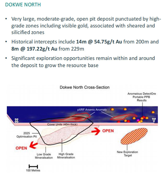 津巴布韦多克维金矿