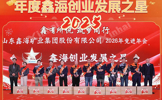 鑫海2025年度发展之星